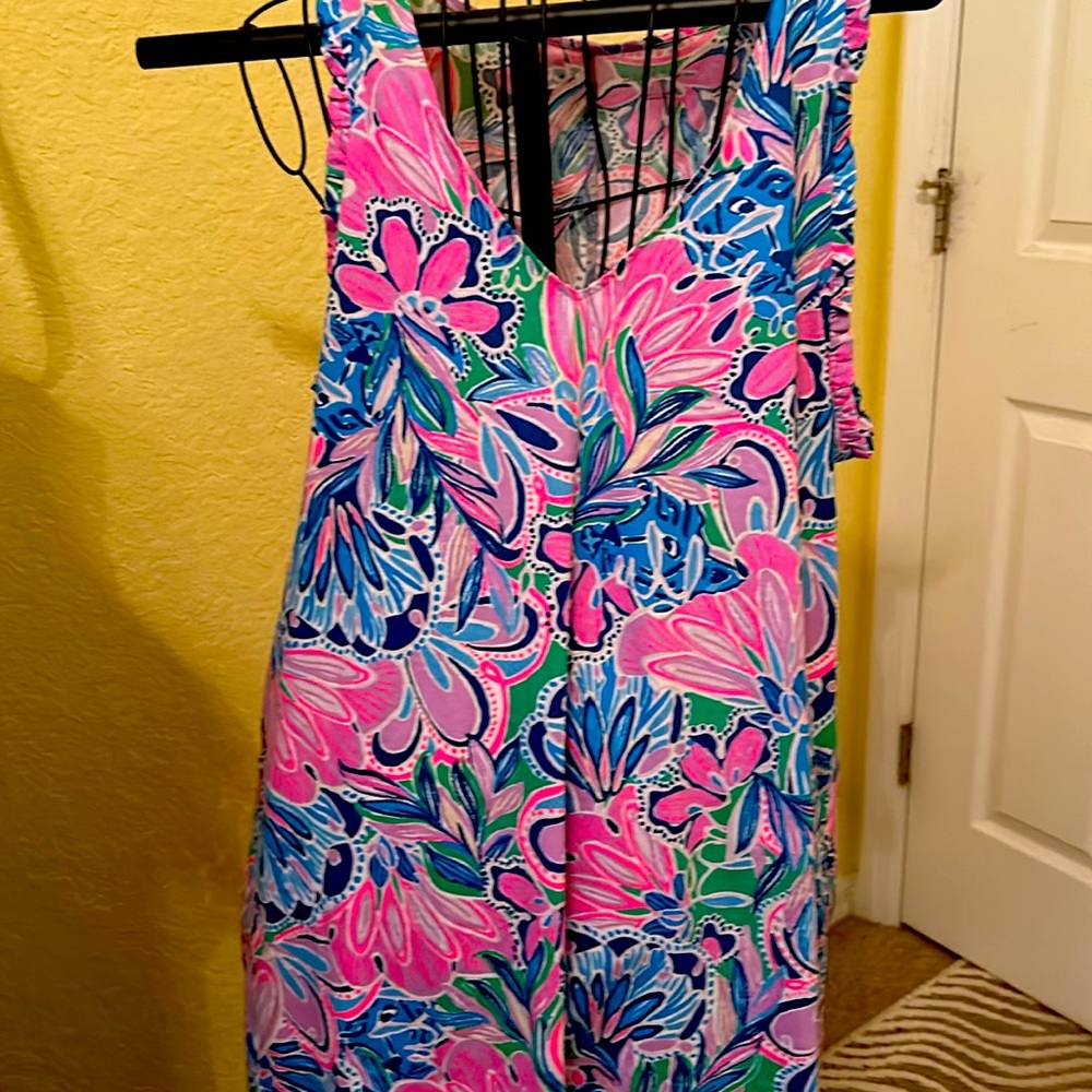 New without tags lovely Lily dress with ruffles on the shoulders of dress xl